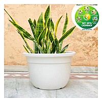 Green Planter Premium Plastic Plant Pot | White