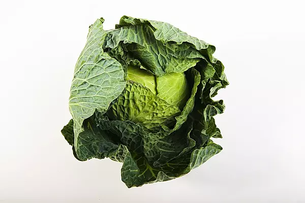 Cabbage