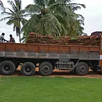 Fresh Fruit & Vegetable Transport Service
