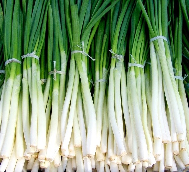 Spring Onion 250 Gms