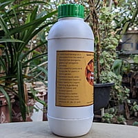 500ml Organic Karanja Oil (Pongamia pinnata) | Pesticide | Fungicide