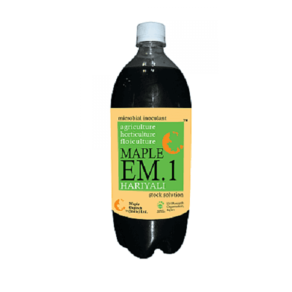 Maple EM.1 Hariyali