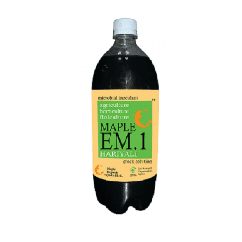 Maple EM.1 Hariyali