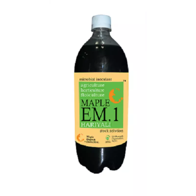 Maple EM.1 Hariyali