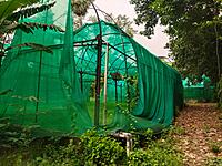 Polyhouse & Protected Cultivation Subsidy Support