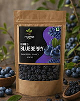 Dried Blueberry | Healthyx Zone
