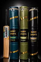 Premium leather bat cover