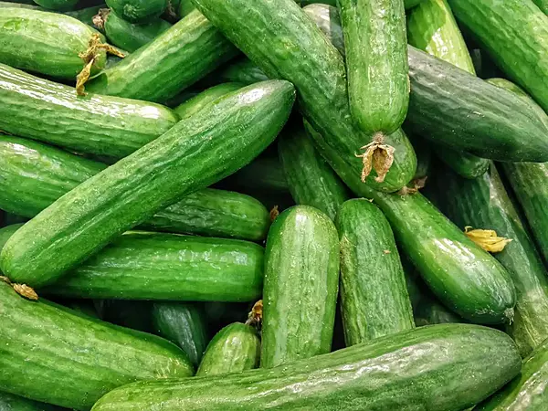 English Cucumber (Seedless) 500gm - Delia