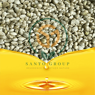 Hemp Seeds Oil