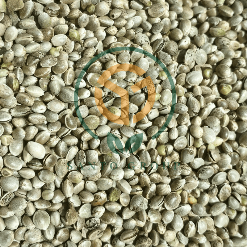 Hemp Seeds