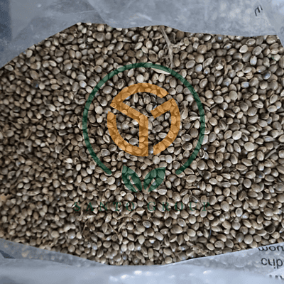 Hemp Seeds
