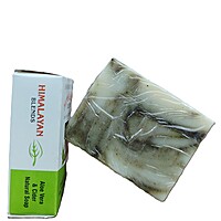 Aloe Vera and Cider Natural Soap