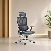 HONOR Cushion