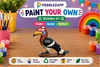 Reusable Hornbill + 2 Cartoon Favourites DIY Painting Kit-Set of 3