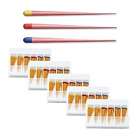 Dentsply ProTaper Next Gutta Percha Points