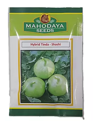 HYBRID TINDA-SHASHI