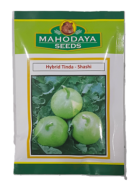 HYBRID TINDA-SHASHI