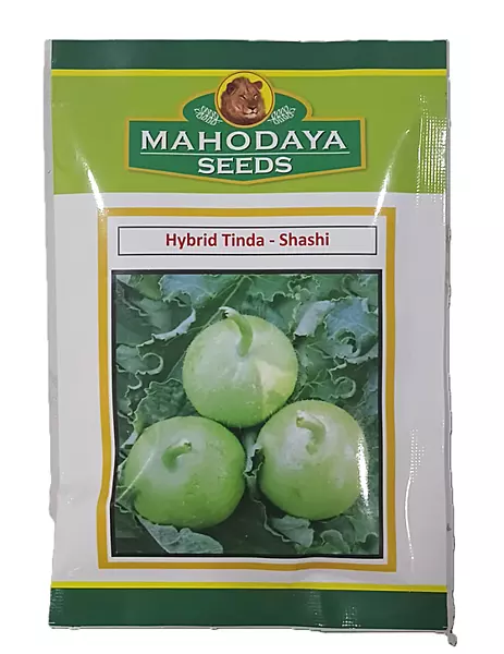 HYBRID TINDA-SHASHI
