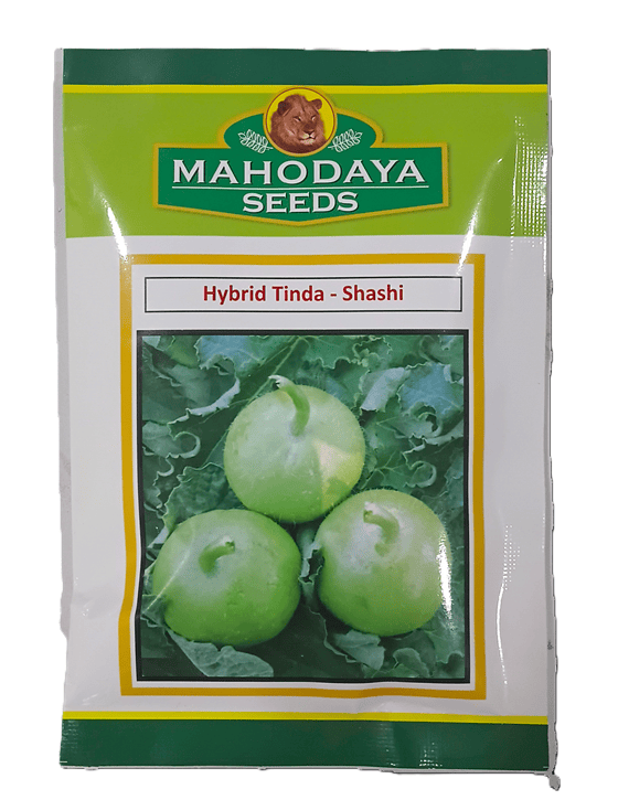 HYBRID TINDA-SHASHI