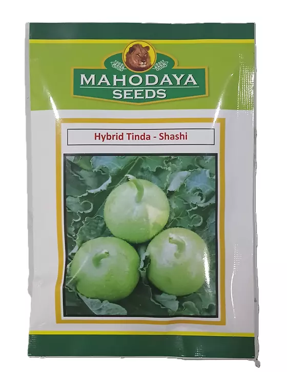HYBRID TINDA-SHASHI