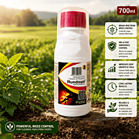 Ichiban RUNDOWN Herbicide | Vetrivel Agro Services