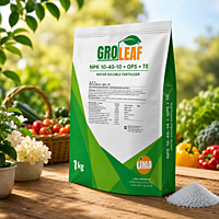 NPK 10:40:10 + QPS + TE | Vetrivel Agro Services