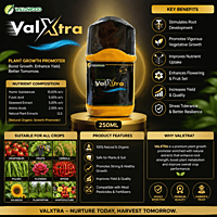 Willowood VALXTRA® Fungicide – Hexaconazole 5% + Validamycin 2.5% SC | Vetrivel Agro Services