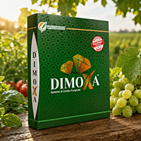 Willowood DIMOXA® Fungicide (Difenoconazole 10% + Mancozeb 50% WG) | Vetrivel Agro Services