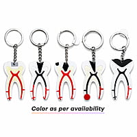 iDENTical Tooth Anatomy Keychain Multicolor – Dental Gift