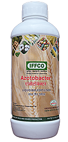 Azotobacter  (IFFCO)