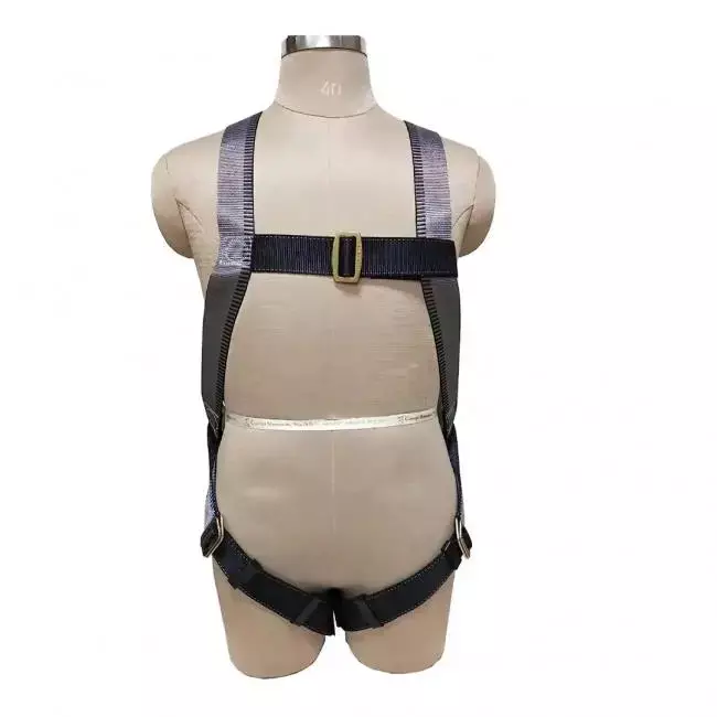KARAM | KI01 Full Body Harness Class A PN 206 2mtr. PP Double Lanyard with | PN 131 Hook - ISI Marked