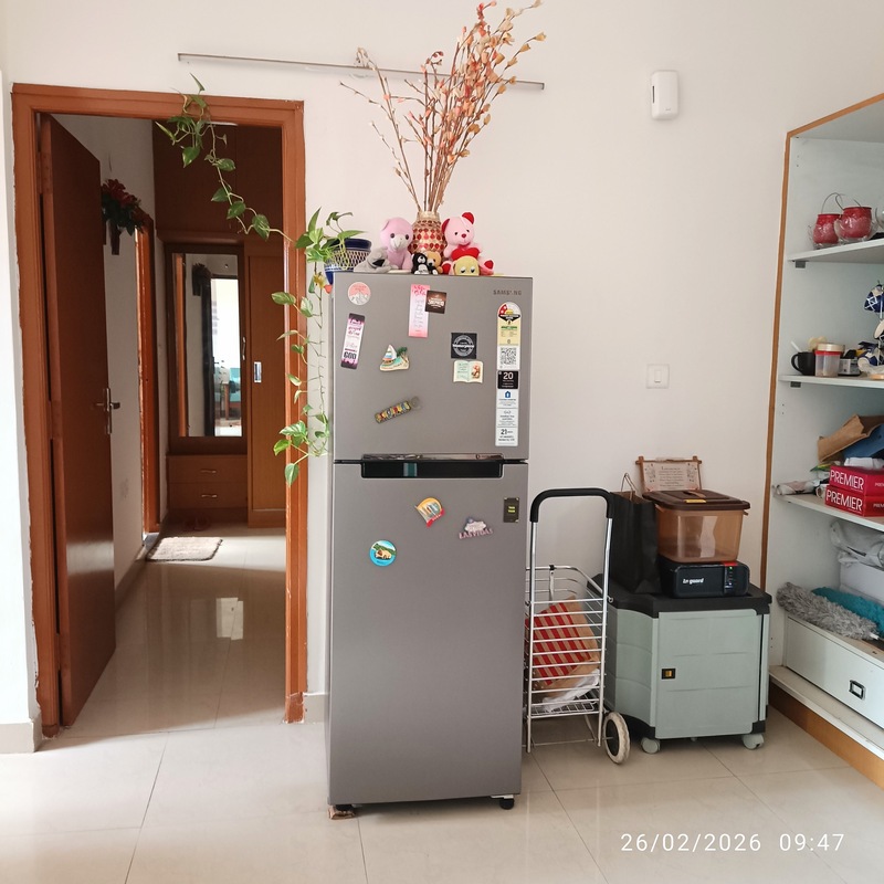 The Peace Lily's Home Sarjapur Bangalore