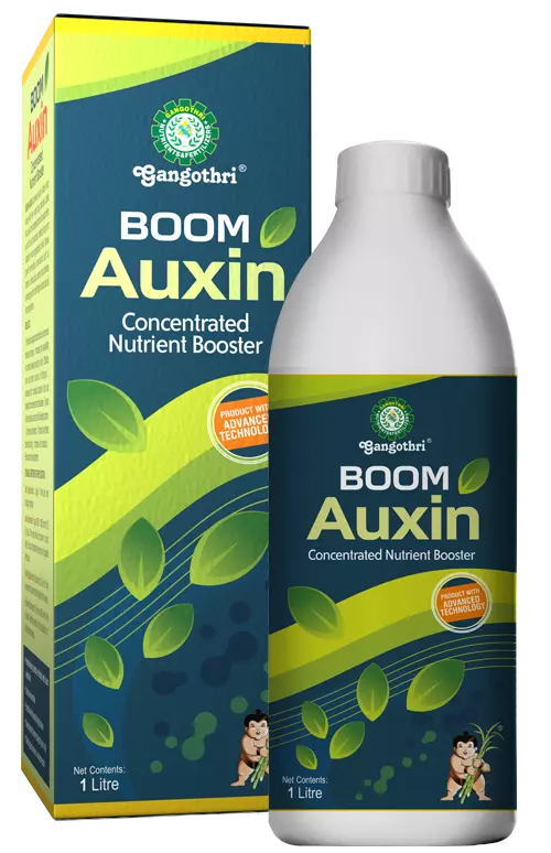 Gangothri Boom Auxin Concentrated Nutrient Booster – 1 Litre