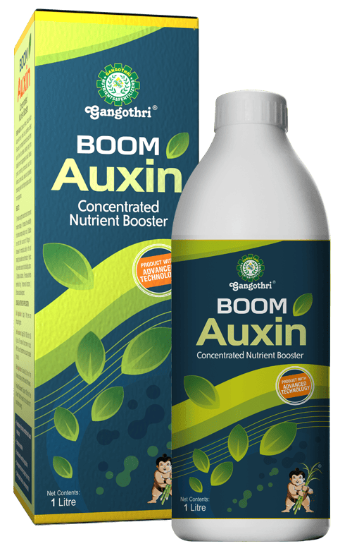 Gangothri Boom Auxin Concentrated Nutrient Booster – 1 Litre