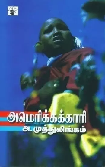 Amerikkakkaari | அமெரிக்கக்காரி