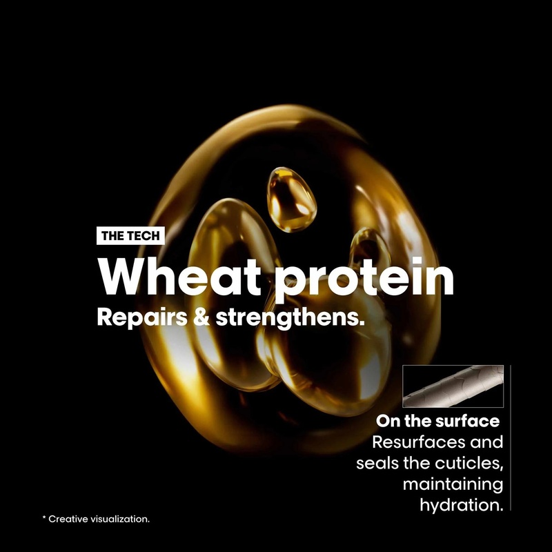 Loreal Absolute Repair Shampoo 300 ml