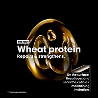 Loreal Absolute Repair Oil