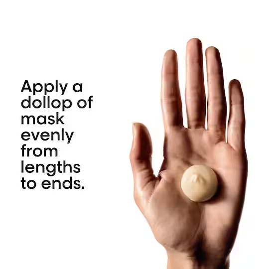 Loreal Absolute Repair Masque 490 gm