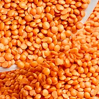 Red Lentil-Masoor Daal- ಕೆಂಪು ಲೆಂಟಿಲ್