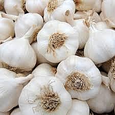 garlic(poondu)
