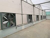 Polyhouse Constructions