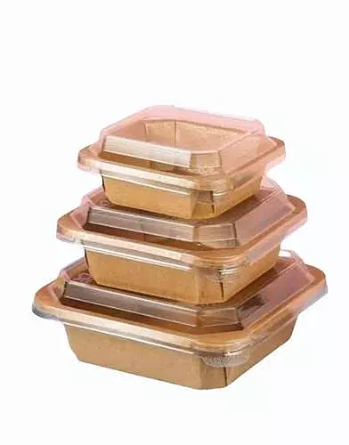 Brown Paper Container