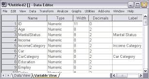 SPSS Categories (Module) (with 1 yr sub)