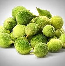 SPINE GOURD(AKAKARA)