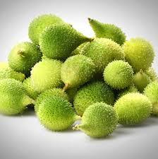 SPINE GOURD(AKAKARA)