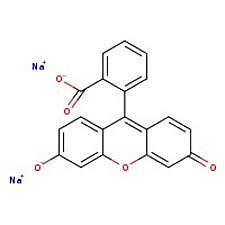 Fluorescein 100 gm CAS #518?47?8