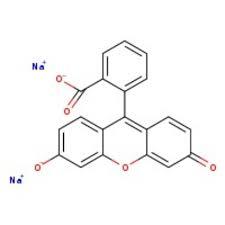 Fluorescein 100 gm CAS #518?47?8