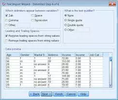 SPSS Data Preparation (Module) (with 1 yr sub)