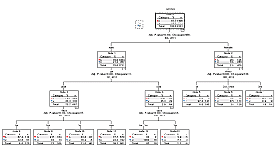 SPSS Decision Trees (Module) (with 1 yr sub)
