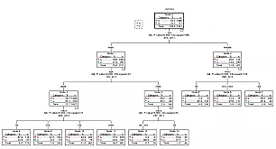 SPSS Decision Trees (Module) (with 1 yr sub)